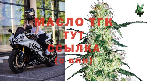 крисы Алексин