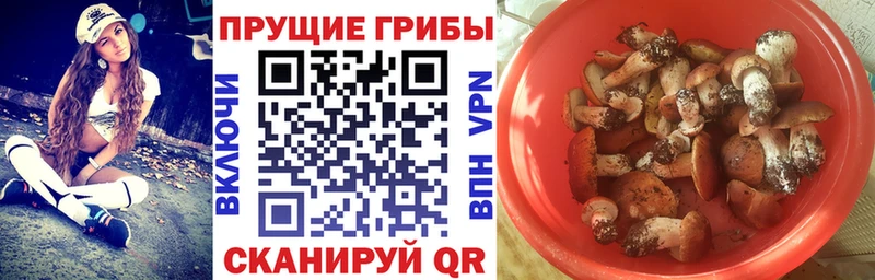 Галлюциногенные грибы GOLDEN TEACHER  Анжеро-Судженск 
